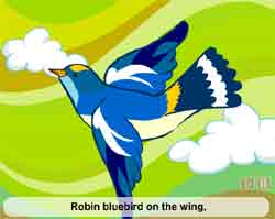 flashӢĶƵȫͯӢSpring arrivalƵ
