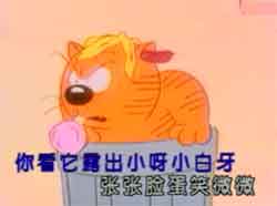 mp4Ƶȫ׶öƵ
