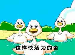 mp4Ƶȫ׶СѼƵ