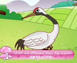 ԶӢͯƵȫ-The Farmer and the Storkͯ¶Ƭ