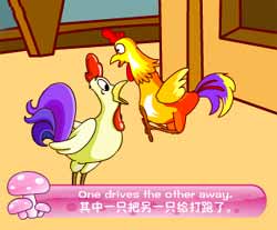 ԶӢͯƵȫ-Two Fighting Cocksͯ¶Ƭ