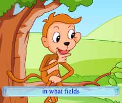ԶӢͯƵȫ-The Monkey Refereeͯ¶Ƭ
